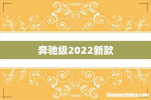 奔驰级2022新款