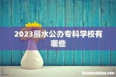 2023丽水公办专科学校有哪些