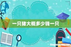 一只猪大概多少钱一只