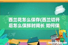西兰切开后怎么保鲜时间长 如何保存西兰花 西兰花怎么保存