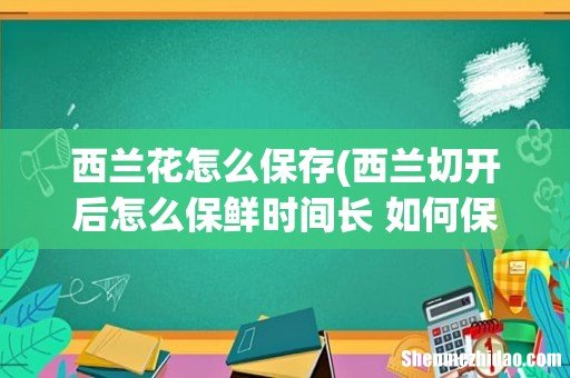 西兰切开后怎么保鲜时间长 如何保存西兰花 西兰花怎么保存