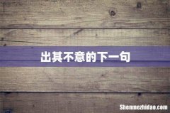 出其不意的下一句