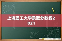上海理工大学录取分数线2021