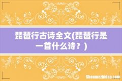 琵琶行是一首什么诗？ 琵琶行古诗全文