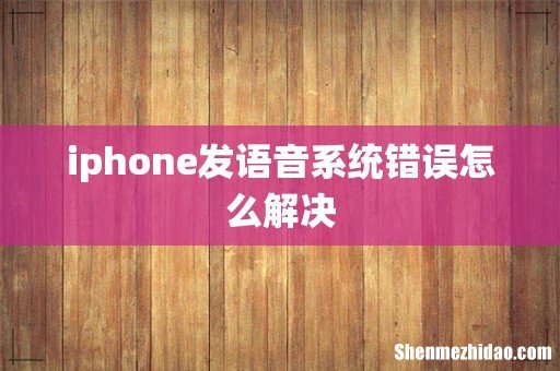 iphone发语音系统错误怎么解决