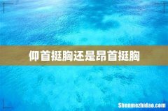 仰首挺胸还是昂首挺胸