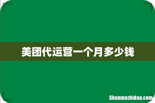 美团代运营一个月多少钱