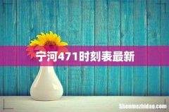 宁河471时刻表最新