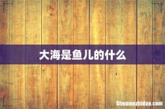大海是鱼儿的什么