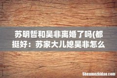 都挺好：苏家大儿媳吴非怎么得罪苏大强了，为何立遗嘱都不叫她？ 苏明哲和吴非离婚了吗