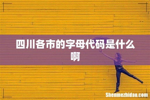 四川各市的字母代码是什么啊