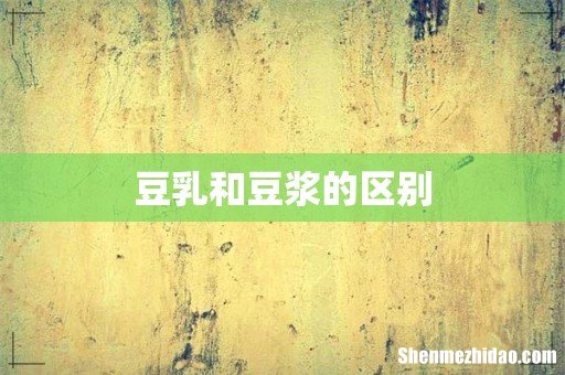 豆乳和豆浆的区别