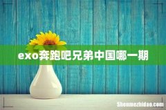 exo奔跑吧兄弟中国哪一期