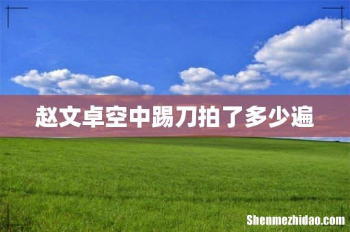 赵文卓空中踢刀拍了多少遍