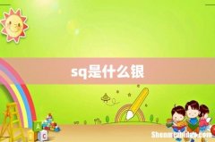 sq是什么银