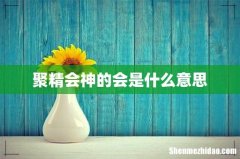 聚精会神的会是什么意思