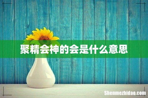 聚精会神的会是什么意思