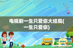 一生只爱你 电视剧一生只爱你大结局