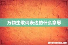 万物生歌词表达的什么意思