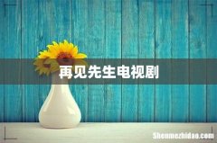 再见先生电视剧