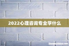 2022心理咨询专业学什么