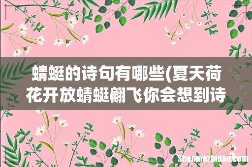 夏天荷花开放蜻蜓翩飞你会想到诗句 蜻蜓的诗句有哪些