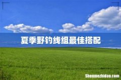 夏季野钓线组最佳搭配