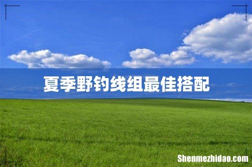 夏季野钓线组最佳搭配