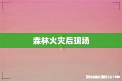 森林火灾后现场