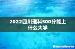 2022四川理科500分能上什么大学