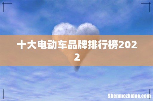 十大电动车品牌排行榜2022