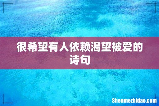 很希望有人依赖渴望被爱的诗句