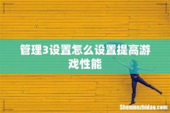 管理3设置怎么设置提高游戏性能