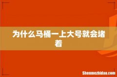 为什么马桶一上大号就会堵着