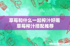 草莓和什么一起榨汁好喝 草莓榨汁搭配推荐