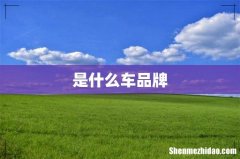 是什么车品牌