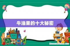 牛油果的十大秘密