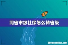 同省市级社保怎么转省级