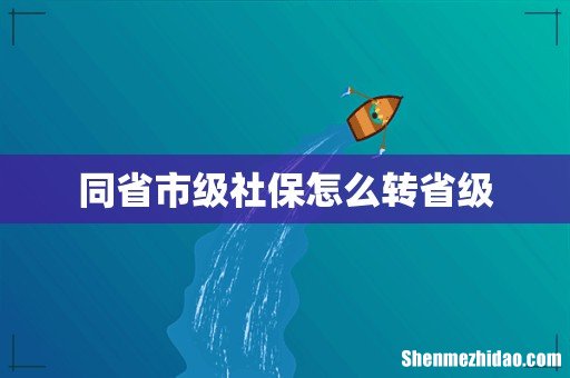 同省市级社保怎么转省级