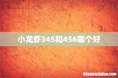 小龙虾345和456哪个好