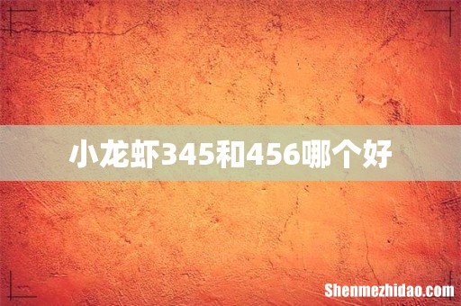 小龙虾345和456哪个好