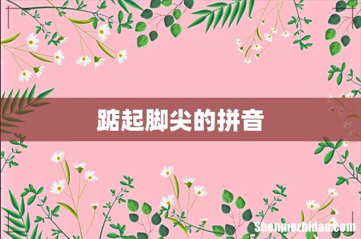踮起脚尖的拼音