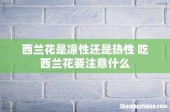 西兰花是凉性还是热性 吃西兰花要注意什么