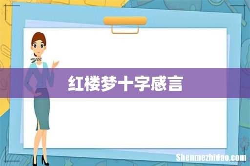 红楼梦十字感言