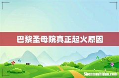 巴黎圣母院真正起火原因