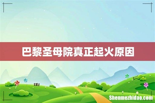 巴黎圣母院真正起火原因