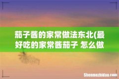 最好吃的家常酱茄子 怎么做最省油的做法 茄子酱的家常做法东北