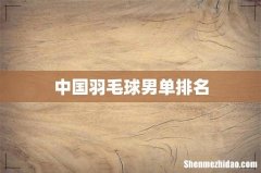 中国羽毛球男单排名