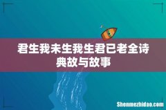 君生我未生我生君已老全诗典故与故事