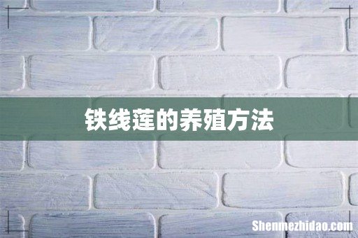 铁线莲的养殖方法